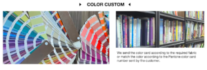 Custom Colors